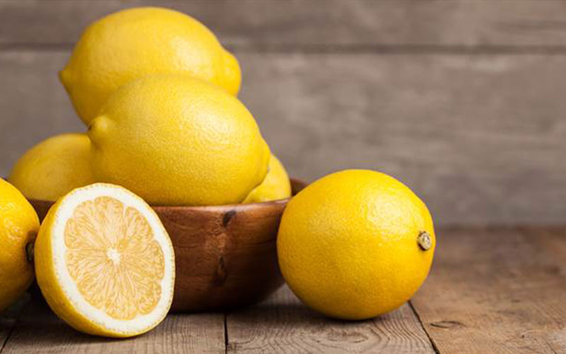 GARDEN CENTER CAPE CORAL AND LANDSCAPERS