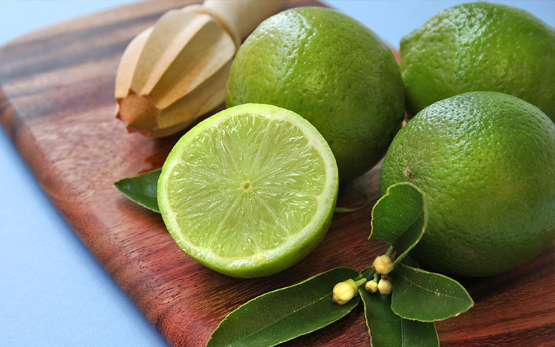 GARDEN CENTER CAPE CORAL AND LANDSCAPERS