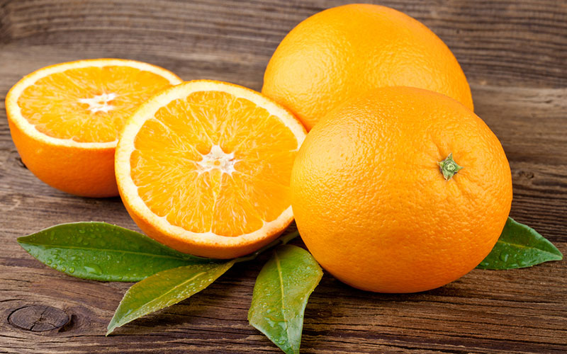 GARDEN CENTER CAPE CORAL AND LANDSCAPERS