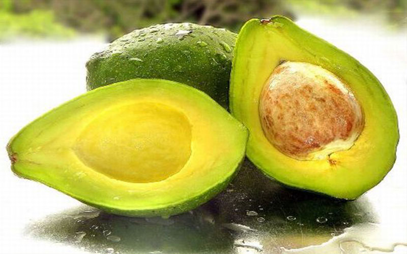 GARDEN CENTER CAPE CORAL and LANDSCAPERS