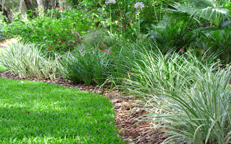 GARDEN CENTER CAPE CORAL and LANDSCAPERS