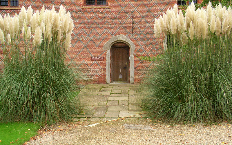 GARDEN CENTER CAPE CORAL and LANDSCAPERS