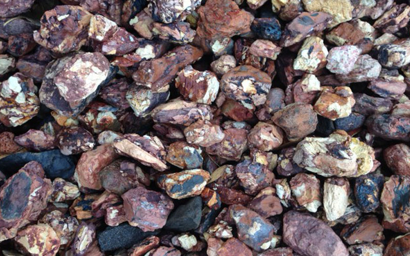 GARDEN CENTER CAPE CORAL AND LANDSCAPERS