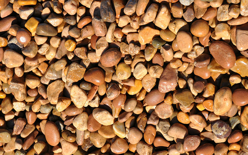 GARDEN CENTER CAPE CORAL AND LANDSCAPERS