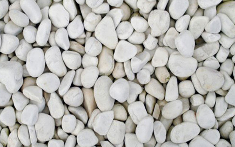 GARDEN CENTER CAPE CORAL AND LANDSCAPERS