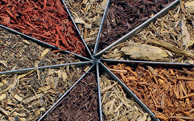 GARDEN CENTER CAPE CORAL AND LANDSCAPERS