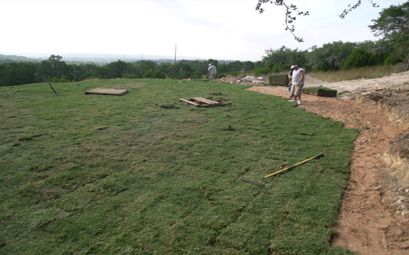 GARDEN CENTER CAPE CORAL & LANDSCAPERS