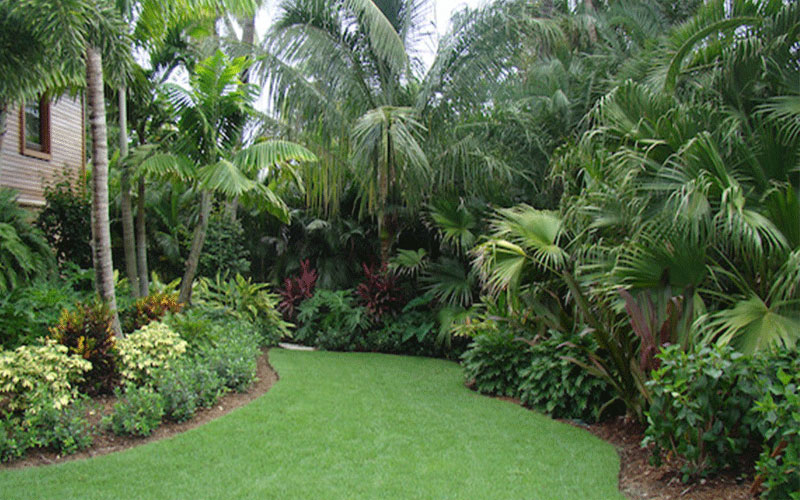 GARDEN CENTER CAPE CORAL & LANDSCAPERS