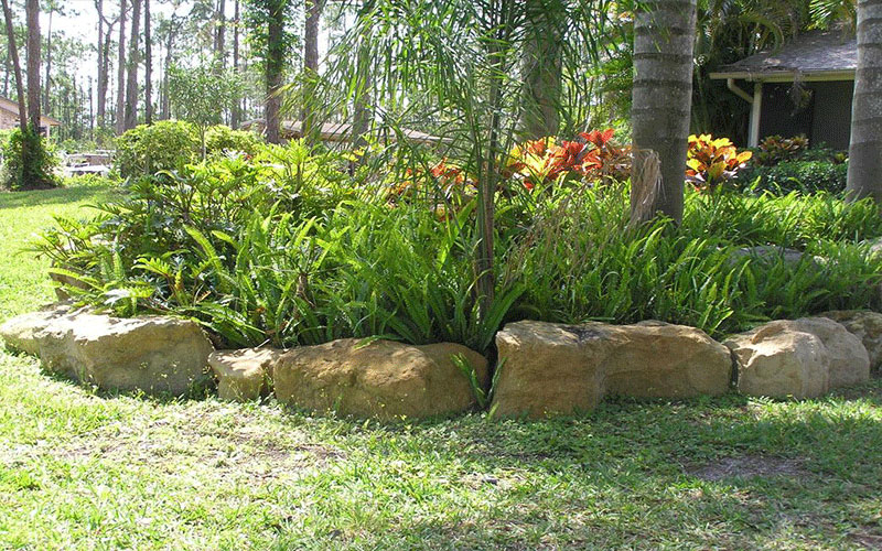 GARDEN CENTER CAPE CORAL and LANDSCAPERS