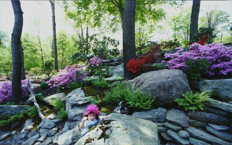 GARDEN CENTER CAPE CORAL and LANDSCAPERS