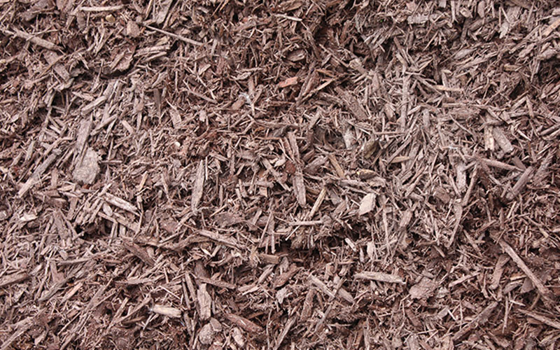 GARDEN CENTER CAPE CORAL and LANDSCAPERS