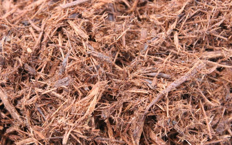 GARDEN CENTER CAPE CORAL and LANDSCAPERS