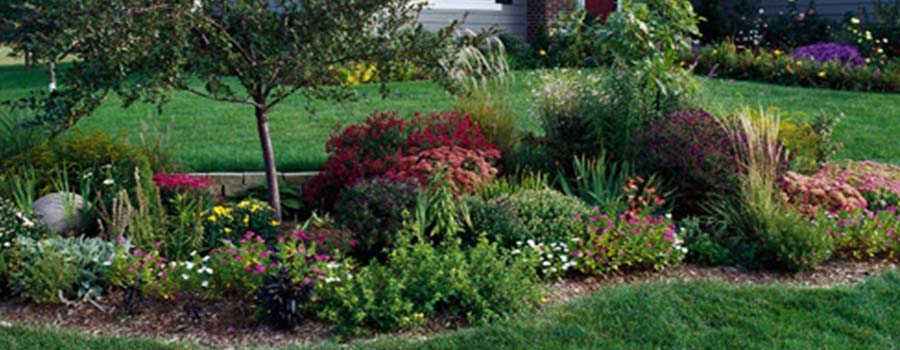 GARDEN CENTER CAPE CORAL & LANDSCAPERS