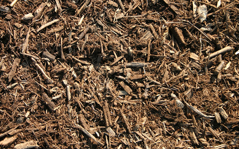 GARDEN CENTER CAPE CORAL and LANDSCAPERS