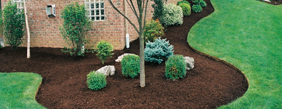 GARDEN CENTER CAPE CORAL and LANDSCAPERS