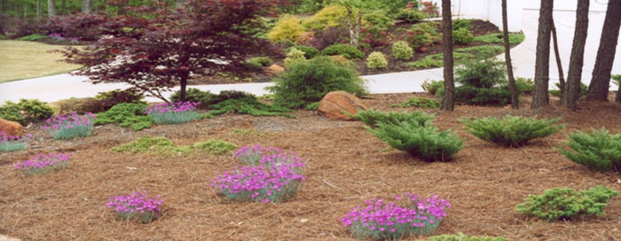 GARDEN CENTER CAPE CORAL and LANDSCAPERS