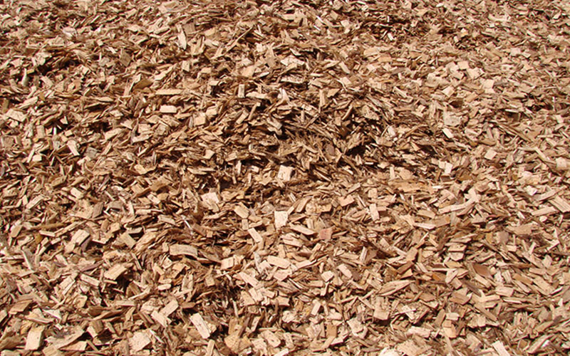 GARDEN CENTER CAPE CORAL and LANDSCAPERS