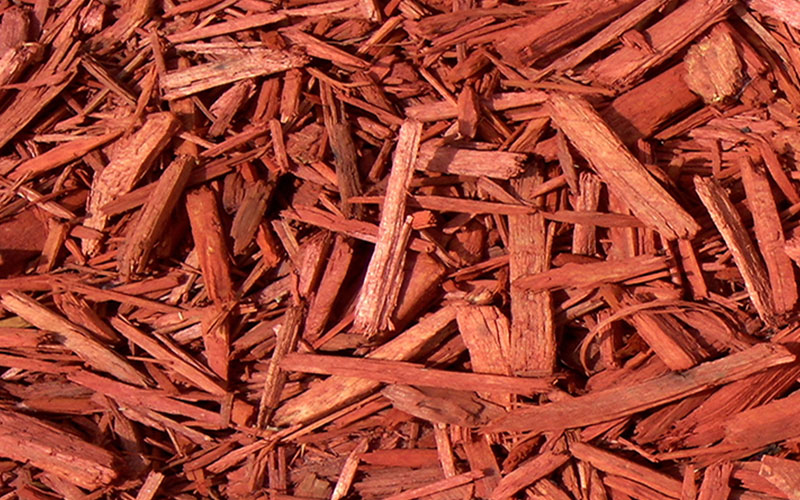 GARDEN CENTER CAPE CORAL and LANDSCAPERS