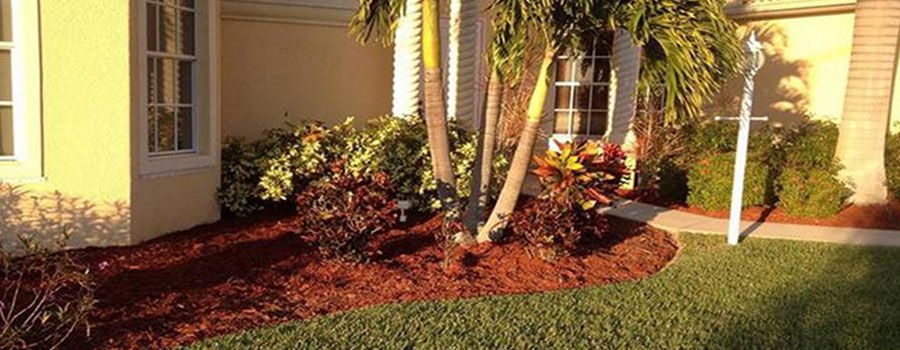 GARDEN CENTER CAPE CORAL and LANDSCAPERS
