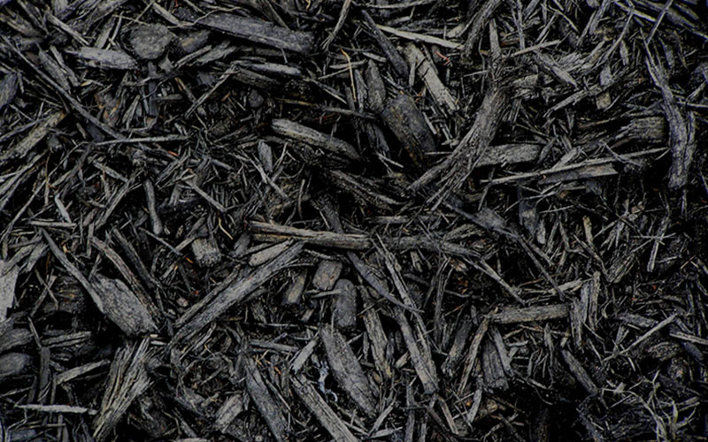 GARDEN CENTER CAPE CORAL and LANDSCAPERS