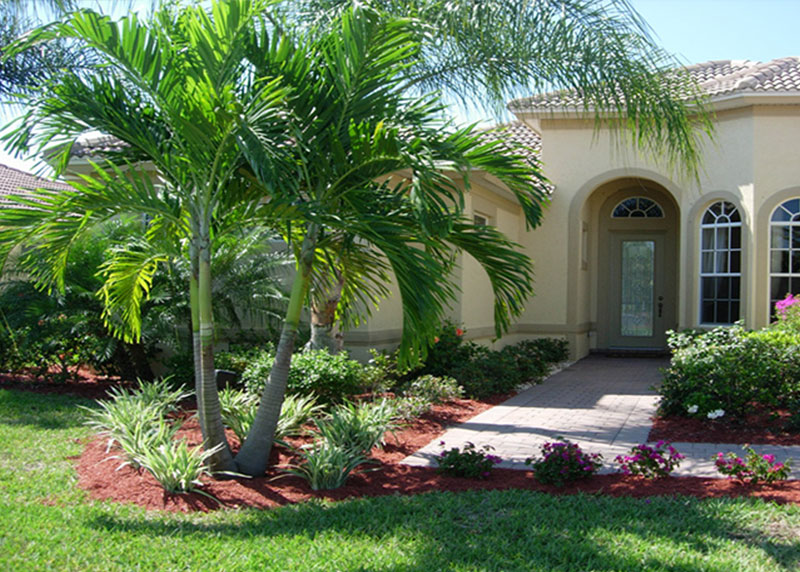GARDEN CENTER CAPE CORAL and LANDSCAPERS
