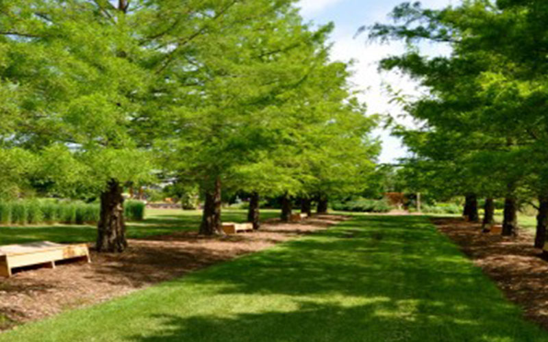 GARDEN CENTER CAPE CORAL and LANDSCAPERS