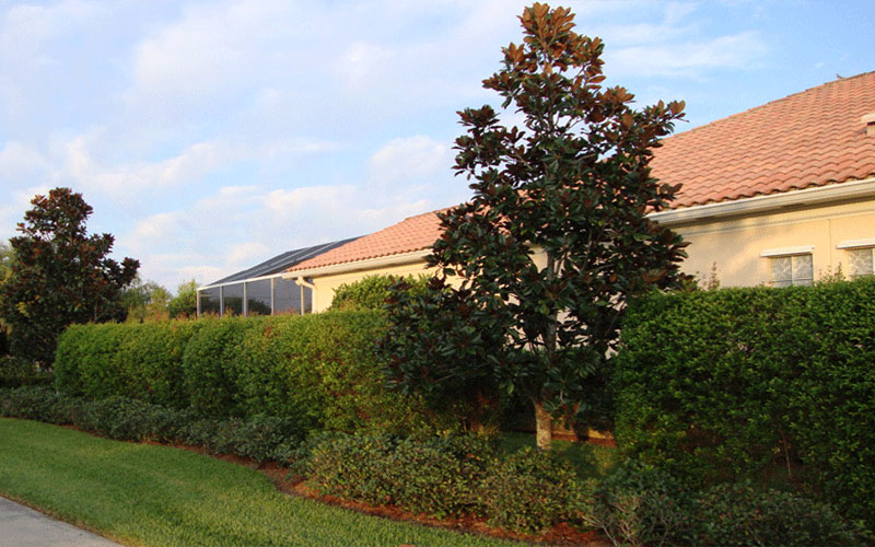 GARDEN CENTER CAPE CORAL and LANDSCAPERS