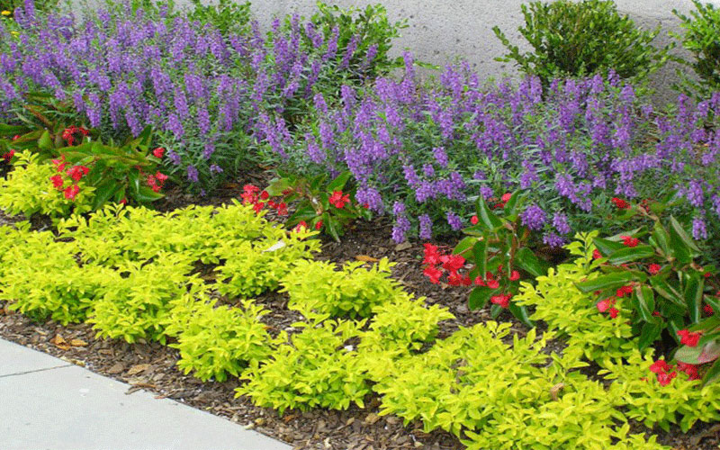 GARDEN CENTER CAPE CORAL and LANDSCAPERS