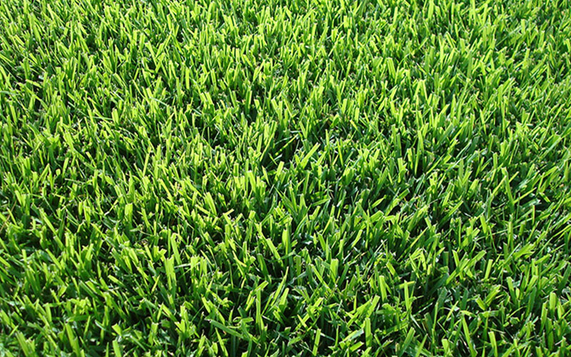 GARDEN CENTER CAPE CORAL and LANDSCAPERS