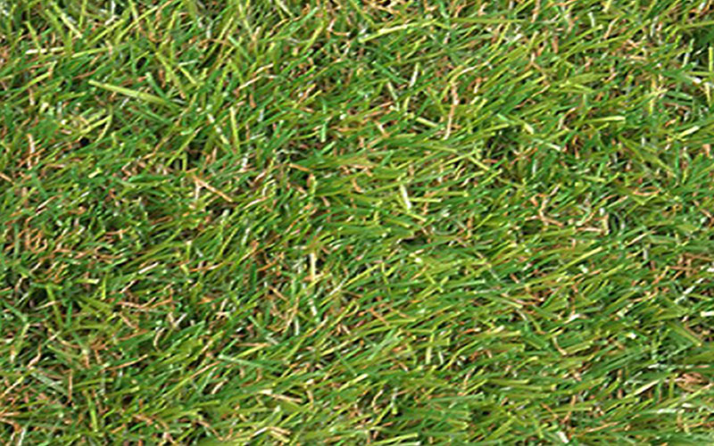 GARDEN CENTER CAPE CORAL and LANDSCAPERS