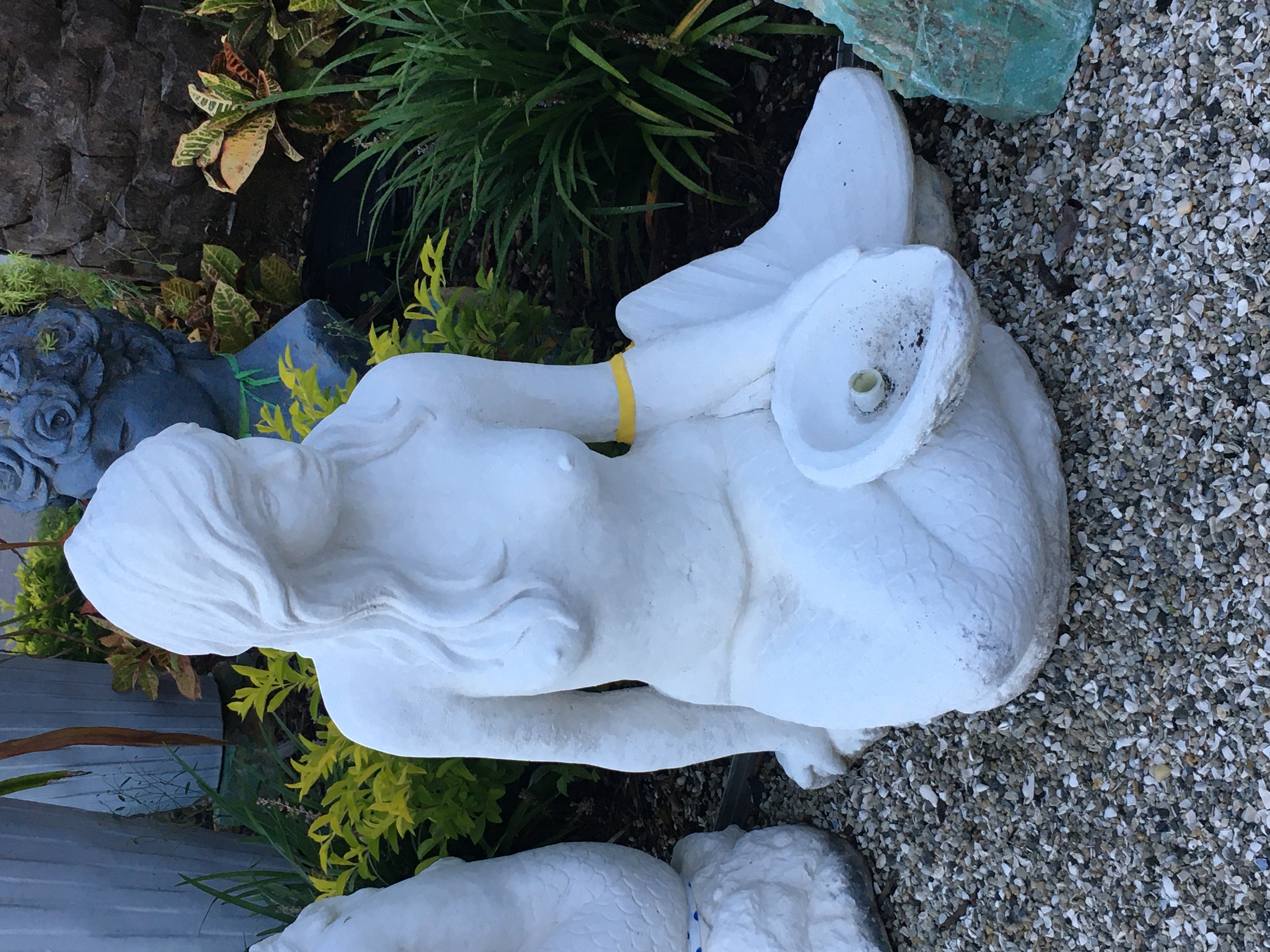 GARDEN CENTER CAPE CORAL AND LANDSCAPERS