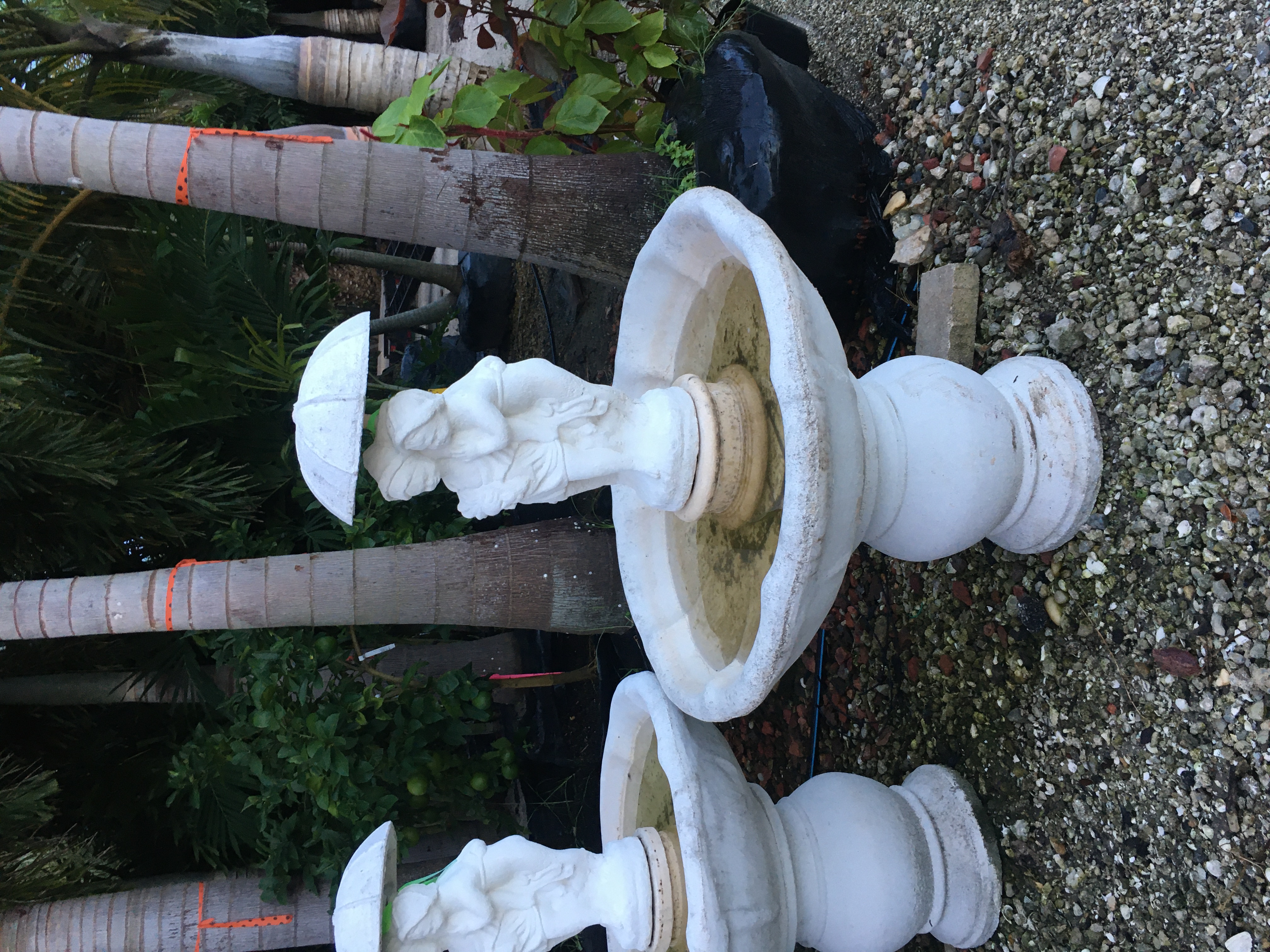 GARDEN CENTER CAPE CORAL AND LANDSCAPERS