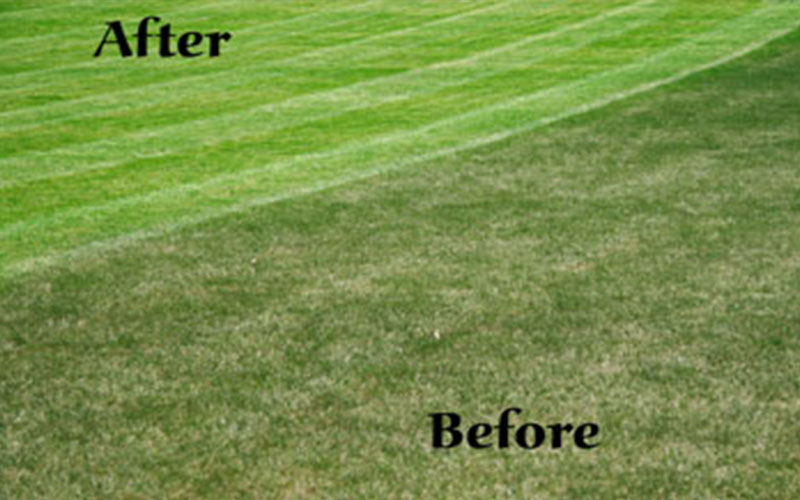 GARDEN CENTER CAPE CORAL AND LANDSCAPERS