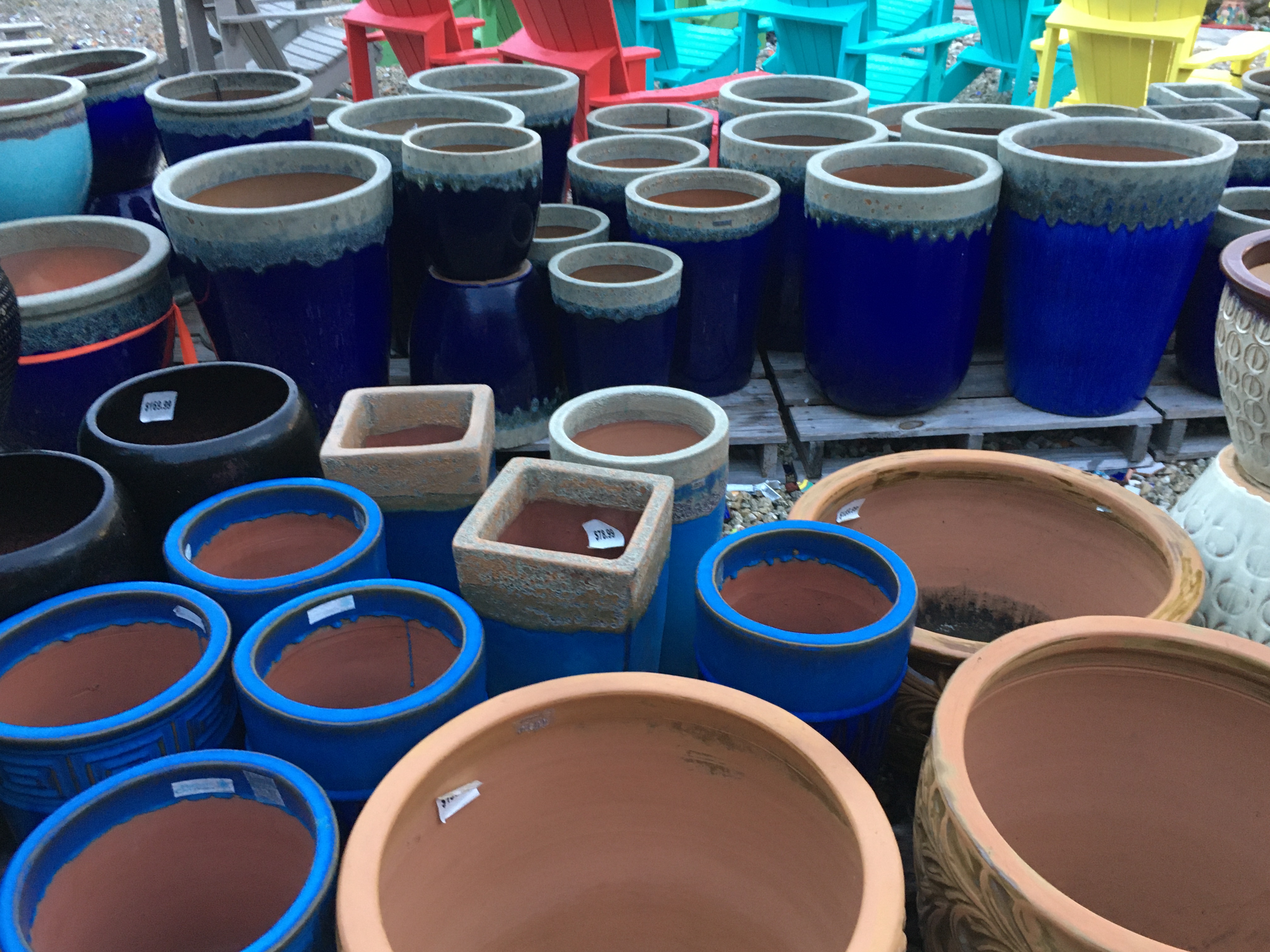 GARDEN CENTER CAPE CORAL AND LANDSCAPERS