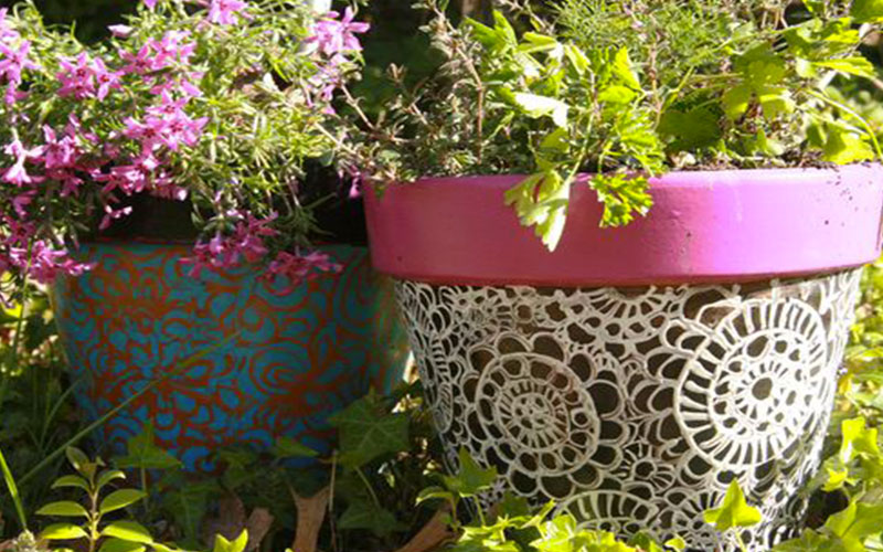 GARDEN CENTER CAPE CORAL AND LANDSCAPERS