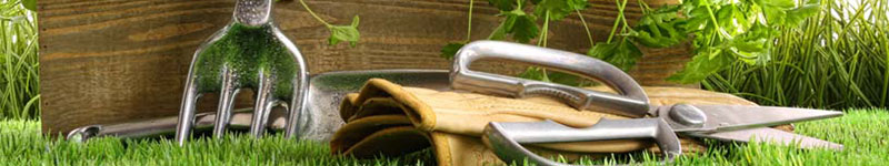 GARDEN CENTER CAPE CORAL AND LANDSCAPERS