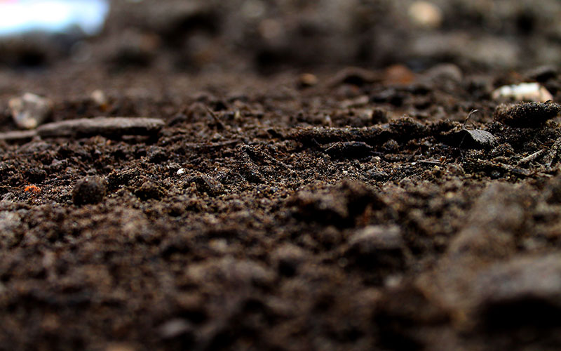 GARDEN CENTER CAPE CORAL and LANDSCAPERS