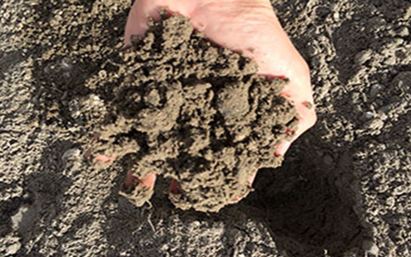 GARDEN CENTER CAPE CORAL and LANDSCAPERS